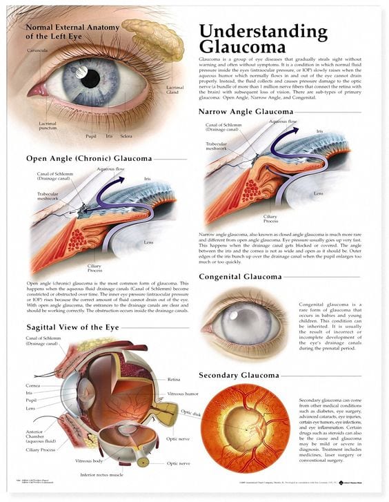 Glaucoma Treatment Options in Amherst, MA and Florence, MA